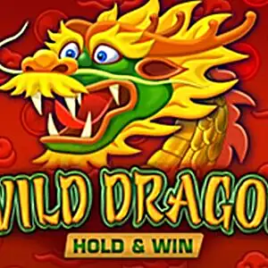 Wild Dragon Hold & Win play now
